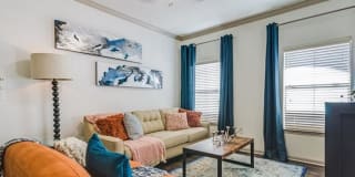 401 Teravista Gallery 7