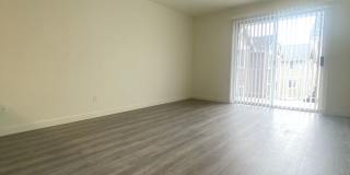 Olympic View Apartments Gallery 6