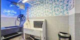 South Falls Tower Gallery 12