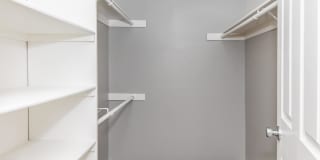 Palm Court Apartment Homes Gallery 54