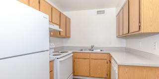 Metro Tucson Gallery 58