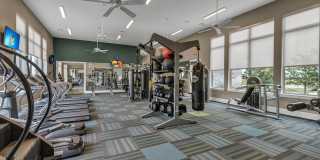 Hawthorne at Blanco Riverwalk Gallery 11