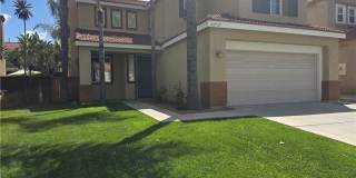 43717 Calabro Gallery 26