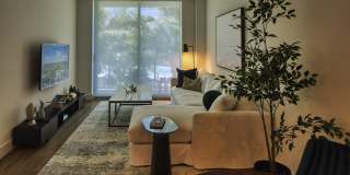 Ascent at Metropolitan Naples Gallery 4