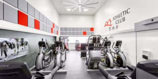 TGM Springbrook Gallery 14