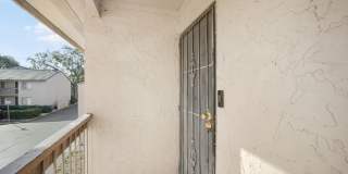 Cozy 2 Bed 1.5 Bathroom in Temple Terrace Gallery 4