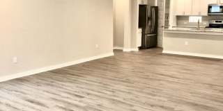 Spacious open floorplan with lots of light Gallery 13