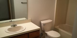PINEVIEW Gallery 7