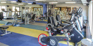 The Paxon Gallery 23