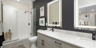 The Signal Gallery 11