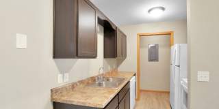 Sunset Woodland Gallery 6