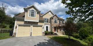 4165 Tiber Falls Dr Gallery 1