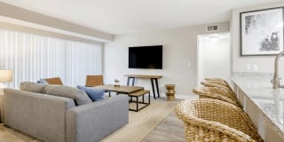 Coconut Palm Club Gallery 50