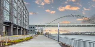 The Sutton Gallery 7