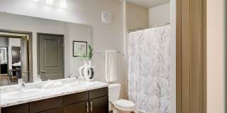 Springs at 2534 Gallery 12