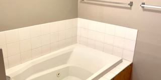 Spacious 3 bed/2 bath - walk to campus! Gallery 25
