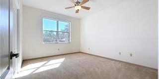 5950 N Petunia Terrace Gallery 51