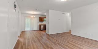 2434 Jolene Lane Gallery 13
