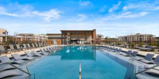 The Premier Gallery 5