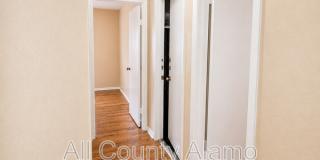 11782 Spring Song Gallery 15