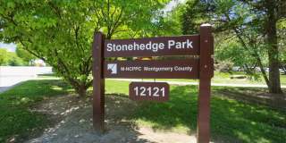 Spacious Ground Floor Condo in Silver Spring Gallery 31