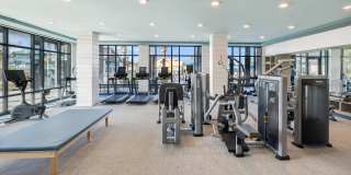 Active Adult 55+ - Restore at Carolina Park Gallery 18