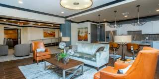 RIZE at Winter Springs Gallery 1