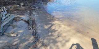 9545 HOLY ISLAND RD Gallery 1