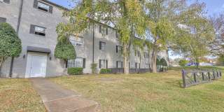 Solana at Brentwood Gallery 17