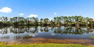 10135 Colonial Country Club Blvd unit: 1208 Gallery 23