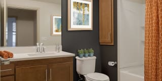 121 Tasman Gallery 10