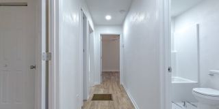 RENOVATED 4/2 in Walkable Location, Stainless Steel Appliances, & Garage/Workshop! Available NOW for $1850/month! Gallery 28