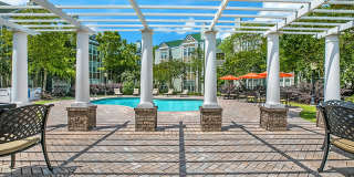 Palmetto Creek Gallery 16