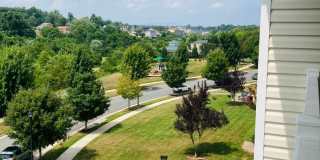 Well-appointed Furnished Rental- Perfect for Professionals- Near shops & restaurants Gallery 1