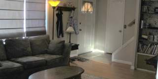 131 Shelbourne Road Gallery 12