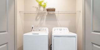 Vital at Springbrook Apartments Gallery 10