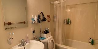 1786S Gallery 51