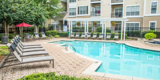 Paces Park Gallery 8