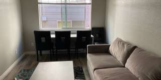 Westwood Apartments Gallery 50