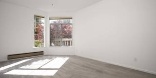 LP1 Research - #187 LP1 Research - #187 Gallery 22