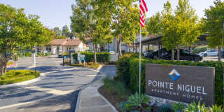 Pointe Niguel Gallery 54