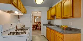 Cinnamon Run at Peppertree Farm Gallery 11