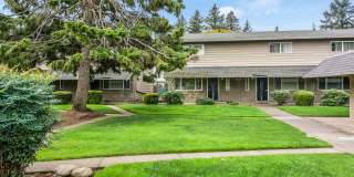 Townhouse Square Gallery 2