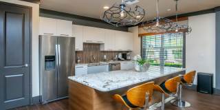 RIZE at Winter Springs Gallery 16