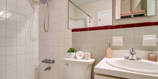 The Elizabeth Gallery 6