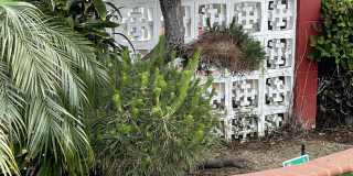 5138 West 141st Street - Studio A Gallery 32