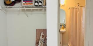 Radian Gallery 9