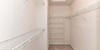 21759 LADYSLIPPER Square Gallery 19
