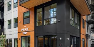 The Pine Gallery 27