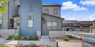1554 Rose Quartz Heights Gallery 2